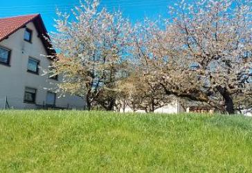 Vorschaubild Sonstiges Haus