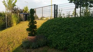 Property thumbnail 5