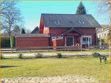 Wasser, traumhafte - ländliche Lage und ein Blockhaus – Trebbin-Großbeuthen – Vorschaubild 2