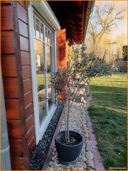 Wasser, traumhafte - ländliche Lage und ein Blockhaus – Trebbin-Großbeuthen – Vorschaubild 8