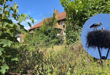 Vorschaubild Bauernhaus