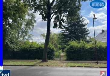 Großes Baugrundstück mit übergangsweise nutzbarem Kleinhaus