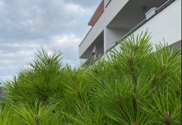 EXCLUSIVE 4-ZIMMER WOHNUNG TERRASSE 20-35 m2 ink. GARAGE & PARKPLATZ