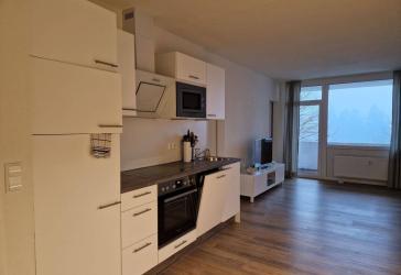 Appartement im Ferienpark Hahnenklee