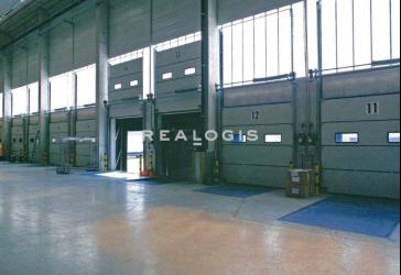 8 Rampen | ebenerdig | Top-Logistik | 10 m UKB