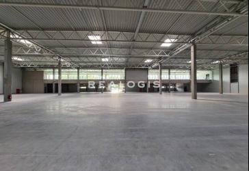 Ca. 5.000 qm Lager / Logistik | Rampe & ebenerdig | flexibler Mieterausbau möglich!