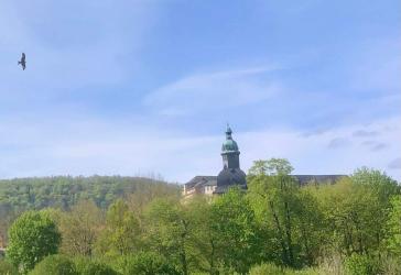 Vorschaubild Grundstück