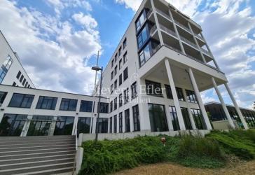 Repräsentieren in direkter Nähe zum Wöhrder See