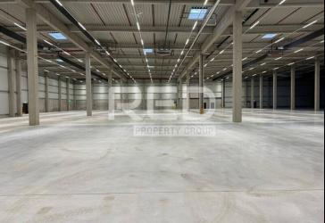 Sofort verfügbarer Neubau - Höhe 10 m - Rampen und ebenerdige Tore