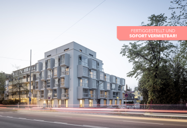 Dachterrassentraum: 1-Zimmer-Apartment im Dachgeschoss - WE 65