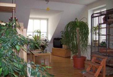 Lichtdurchflutete Maisonettewohnung, perfekt für Singles oder junge Paare, provisionsfrei