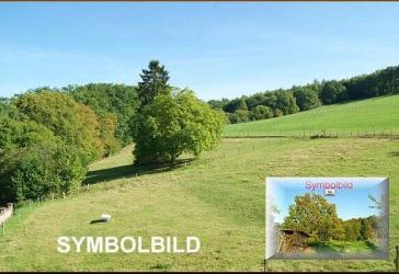 Ein Landgasthof in Niedersachsen, lässt mit Catering den Umsatz wachsen!