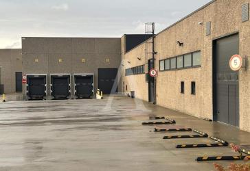 LOGISTIKFLÄCHEN AB 2.500 m² - 12.000 m² | 12 M UKB | RAMPE + EBENERDIG | BEHEIZBAR | FREIFLÄCHEN