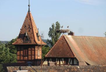 Großzügige 3-Zimmer-Wohnung mit Balkon im 2. OG der Sudhauswohnanlage mit Blick auf das Bad Windsheimer Storchennest