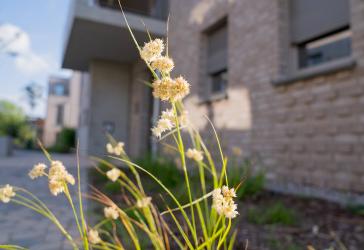 Barrierefreie 3-Zimmer-Wohnung mit Balkon - provisionsfrei | WE 334