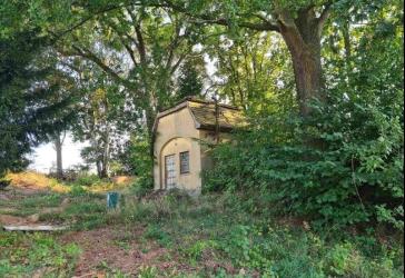 Baugrundstück mit Baumbestand und vorhandenem Keller