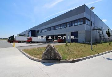 Flexible Anmietung | Neubau: bis zu ca. 30.000 qm | Rampe + ebenerdig | 10,50 m UKB!