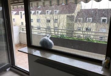 Sonnige 2 Zi-Wohnung in Johannis mit großem Südbalkon saniert