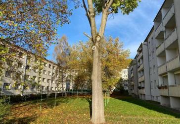 Gera/Langenberg: Gut geschnittene, gemütliche 4-Zimmer-Wohnung