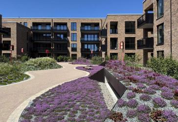 Erstbezug: Neubau-Loft mit Sonnen-Loggia am Fischereihafen in Travemünde