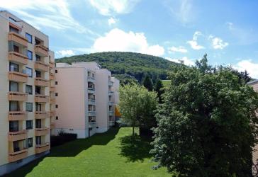 Bad Harzburg vermietete 1 Zimmerwohnung mit Südbalkon