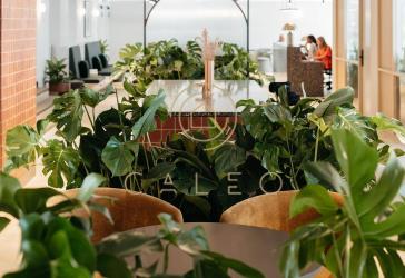 CALEO ¦ Mitte ¦ Kontorhaus ¦ flexibel + sofort bezugsfertig ¦ All-in-Miete ¦ PROVISIONSFREI