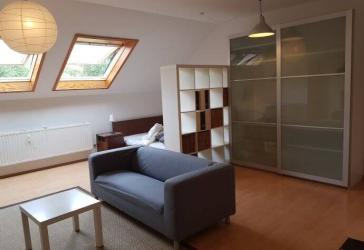 Sbr.-Kirschheck voll möbliertes Zimmer, Apartment, Wohnung ,53 m²