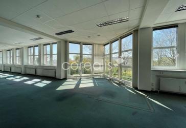 Vorschaubild Büro- /Praxis-Immobilie