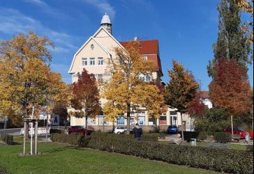 NEU - Repräsentative Jugendstil-Stadtvilla - Helle Wohnung in idealer Lage
