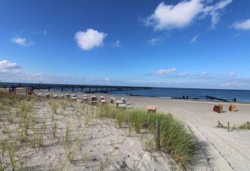 Charmantes Wohnhaus mit Nebengebäude am Dünenwald - nur 10 Minuten zum Strand