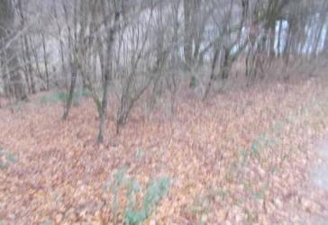 Vorschaubild Grundstück