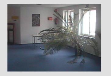 Vorschaubild Büro- /Praxis-Immobilie