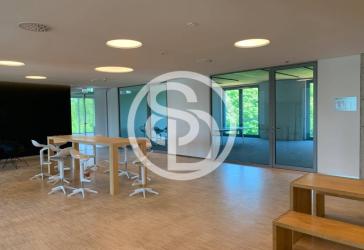 Moderne Bürofläche in Naila/Frankenwald - ca. 108 m² mit 3 Räumen - professionelles Arbeitsumfeld