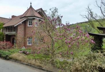 Ruhige Einliegerwohnung mit Terasse und japanischem Garten
