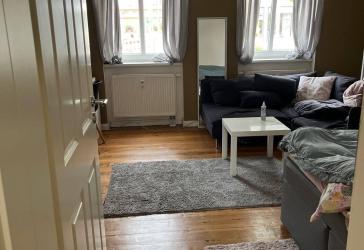 Schöne, helle Einraumwohnung mit EBK, Holzdielen, Gartennutzung und Duschbad
