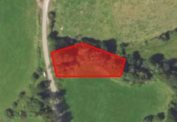Verkaufe 0,13 ha Grünland mit Baumbestand in Motten 97786 Motten (KG)