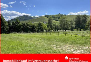 Vorschaubild Grundstück