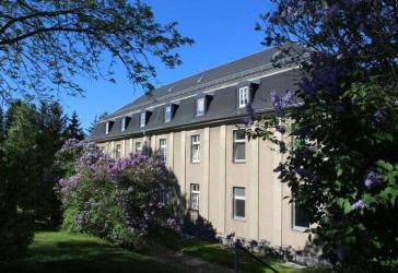 Zentral wohnen, ländlich leben - geräumige 2-Zimmer-Wohnung im grünen Herzen von Niederdorf