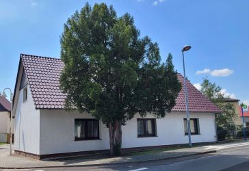 Vorschaubild Einfamilienhaus