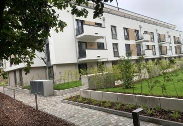 Neubau, 3-ZM-Penthouse-Whng, schöner loftartiger Schnitt mit hohen Decken, begrünte Westdachterrasse mit Blick, in Friedrichsdorf-Dillingen