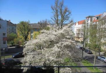 Frei ab 01.07. - Vorderer Westen - 2 ZKB mit Balkon