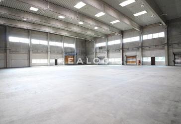 PROVISIONSFREI | Ca. 2.500 qm Lager / Logistik | Rampen + ebenerdige | 11 m UKB !