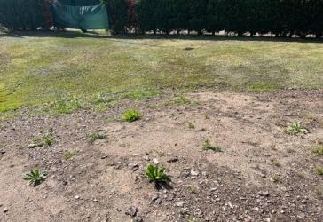 Vorschaubild Grundstück