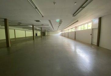 1000 qm Gewerbefläche / Verkauf und Lager in exponierter Stadtnaher Lage zu vermieten !