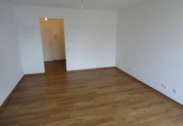 Schöne und helle 1-Zimmer-Wohnung (Nähe Konzerthalle)