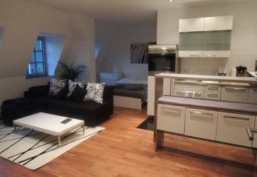 Möbliertes 1-Zimmer-Appartment mit Geothermieheizung in der Nähe der Fußgängerzone