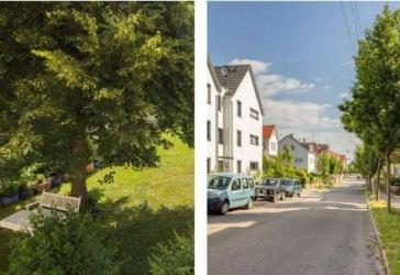 Geschmackvolle und gepflegte Wohnung mit 3 Räumen und Einbauküche in Stuttgart-Zuff.