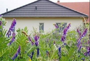 Stufenloses Wohnvergnügen!