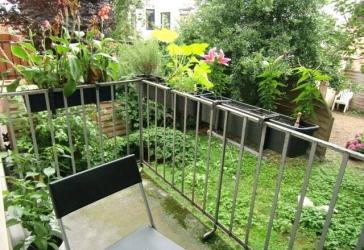 10 Min. zur Innenstadt, Neustadt, renovierte schöne helle 2 Zi -Whg. Balkon und Garten