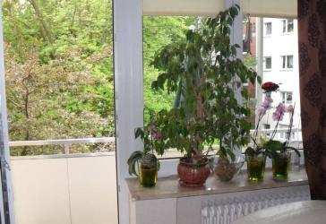 N-St. Leonhard: Ruhige, Drei-Zimmerwohnung mit Balkon am Wohnzimmer, Blick ins Grüne!